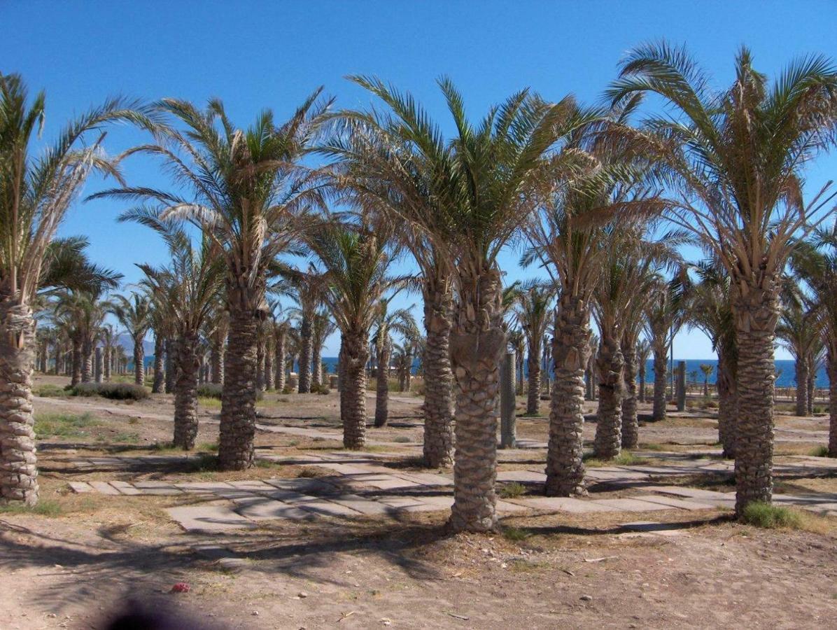 Apartmán Golf Y Playa Junto Al Cabo De Gata Almería Exteriér fotografie
